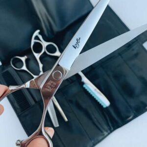 Hairstylist Scissors